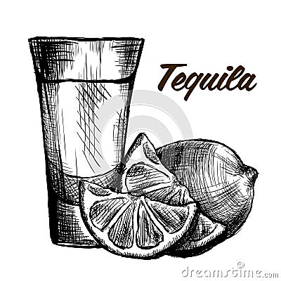 Bottle of tequila with lime and glass. painted by hand Vector Illustration