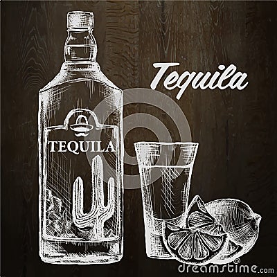 Bottle of tequila with lime and glass. painted by hand Vector Illustration