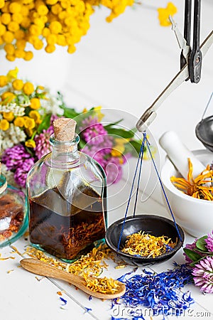 Bottle of tincture or potion, mortar, healthy herbs and scales on table. Stock Photo