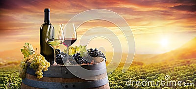 Bottle And WineGlasses On Barrel In Vineyard Stock Photo