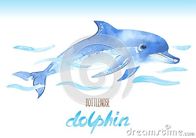 Bottlenose Dolphin. Hand drawn vector watercolor illustration. Vector Illustration