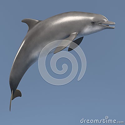 Bottlenose dolphin Stock Photo