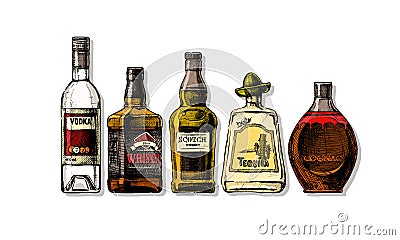 Bottles of alcohol. Distilled beverage Vector Illustration