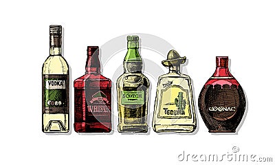 Bottles of alcohol. Distilled beverage Vector Illustration