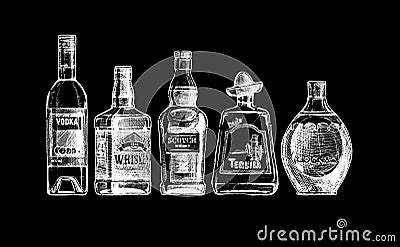 Bottles of alcohol. Distilled beverage Vector Illustration