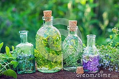 Bottles of herbal infusion and healing herbs outdoors. Herbal me Stock Photo