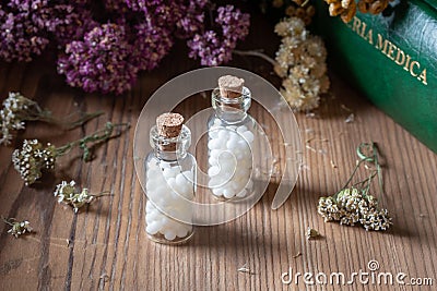 Bottles of homeopathic pills with dried herbs and materia medica Stock Photo