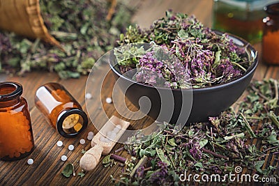 Bottles of homeopathic globules. Origanum vulgare or wild marjoram flowers in bowl. Bottle of essential oil or infusion. Stock Photo