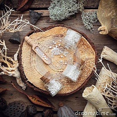 Bottles of homeopathic globules on wooden stump, dried moss, dry roots and plants, eucalyptus and lotus seeds. Stock Photo