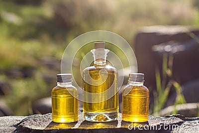 Bottles with natural aroma oil Stock Photo