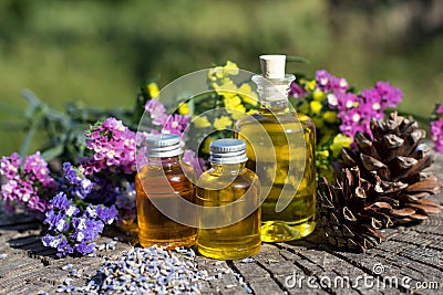 Bottles with natural aroma oil over nature background. Stock Photo