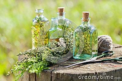 Bottles of thyme, estragon and rosemary essential oil Stock Photo