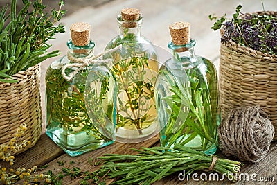 Bottles of thyme and rosemary essential oil or infusion, Stock Photo