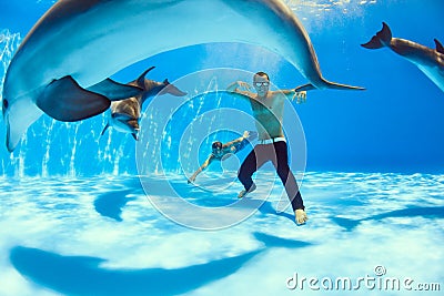 On the bottom of the dolphinarium Stock Photo