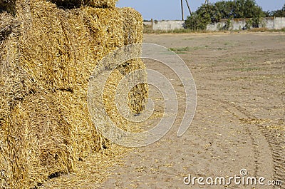 Bottom of a stack of Rectangular dry hay bales Stock Photo