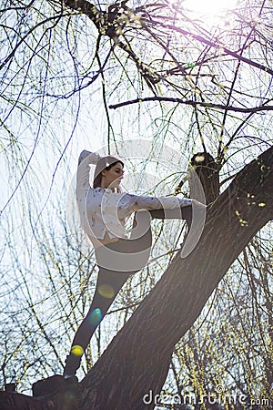 Bottom view charming cute slim girl gymnast is on top of unusual tree without leaves and executes elements of stretching Stock Photo