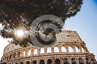 bottom view of Colosseum ruins with tree and sunshine Stock Photo