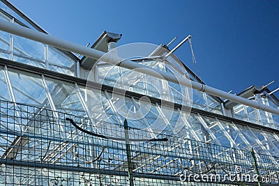 Bottom view of a greenhouse Stock Photo