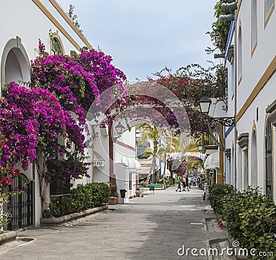 Bougainvillea with arches over floral avenue at Puerto de Mogan on Gran Canaria. Editorial Stock Photo