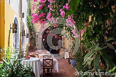 Bougainvillea flowers in street cafe, located near blue lagoon at Symi island, Greece Editorial Stock Photo