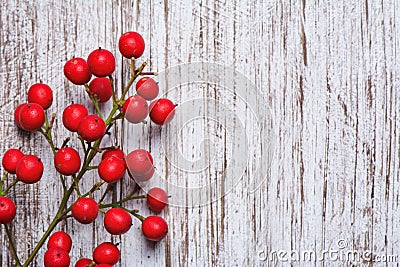 Boughs of holli network, on rustic wood Stock Photo