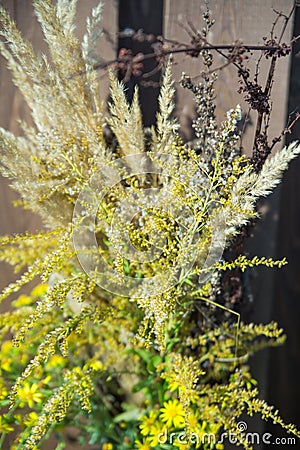 Bouguet of autumn flowers Stock Photo