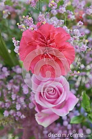 Bouguet, roses and carnations. Stock Photo