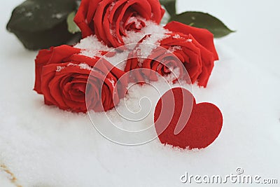 A bouguet of snow-covered red roses and a sign of a heart Stock Photo
