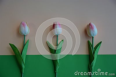 Bouguet of tulips on white background Stock Photo