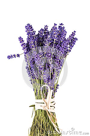 Bouguet of violet lavendula flowers isolated on white background Stock Photo