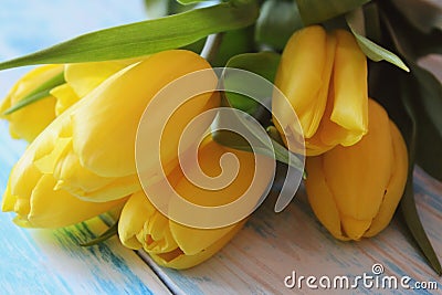 Bouguet yellow tulips on a blue wooden background laid out on ton close-up. Stock Photo