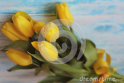 Bouguet of yellow tulips tied with yellow satin ribbon on blue wooden background close-up. Stock Photo