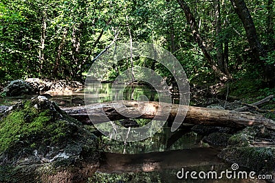 Boulder bridge in the crystal clear water of river Gradasnica Stock Photo