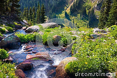 Boulder Creek Surrounded by Summer Wildflowers Stock Photo
