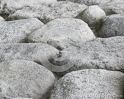 Boulder Field Stock Photo