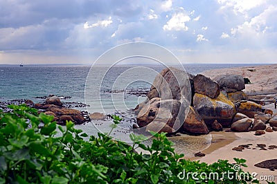 Boulders Beach, South Africa, african penguins colony Stock Photo