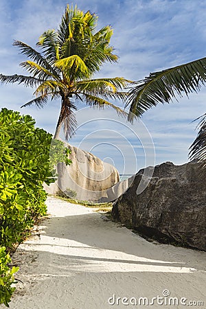 Boulders And Palm Trees, La Digue, Seychelles Stock Photo