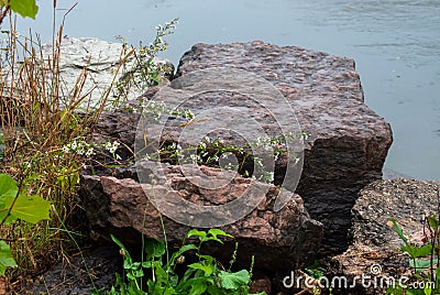 Boulders, wildflowers and a river makes inviting scene Stock Photo