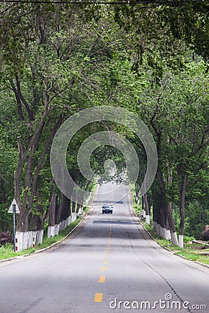 Boulevard, shandong rural roads in China Stock Photo