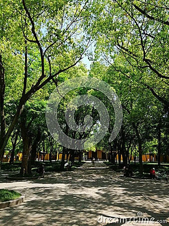 Boulevard towards XiYuan Temple at SuZhou C Stock Photo