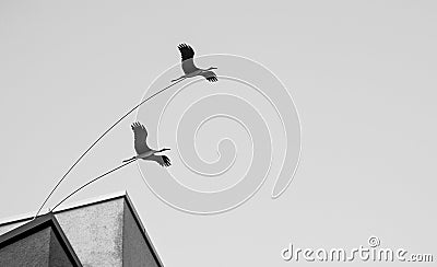 Bound birds Stock Photo