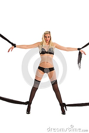 Bound Stock Photo