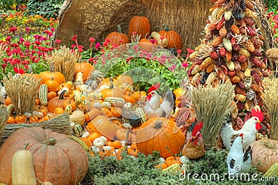 A Bountiful Autumn Harvest Stock Photo