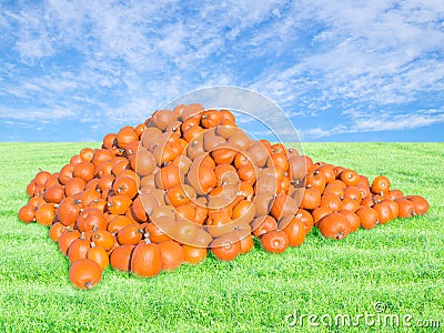 Bountiful harvest on pumpkin patch Stock Photo