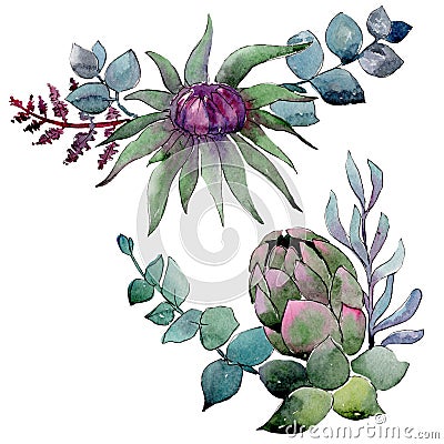 Bouqet succulent floral botanical flowers. Watercolor background set. Isolated succulents illustration element. Cartoon Illustration