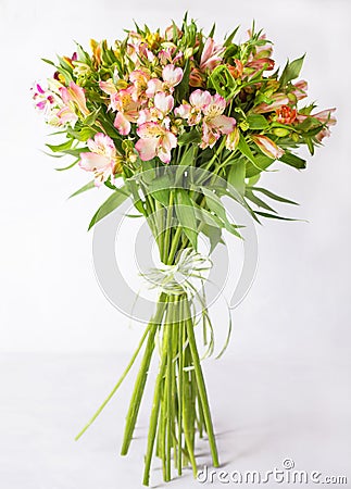 Bouquet alstroemeria on a light gray background. Still life with colorful alstroemeria. Fresh alstroemeria. Place for text. Flower Stock Photo