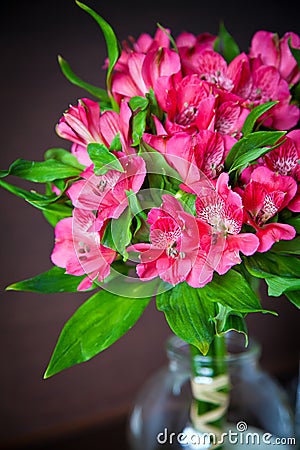 Bouquet of alstromeria Stock Photo