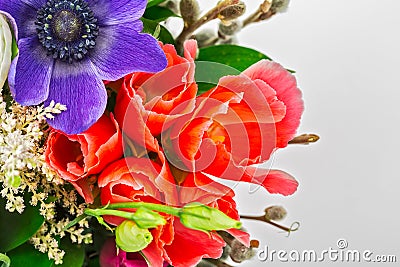 Bouquet. anemone Stock Photo