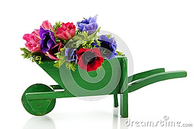 Bouquet Anemones in wheel barrow Stock Photo