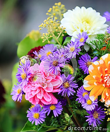 Bouquet of autumn flowers Stock Photo